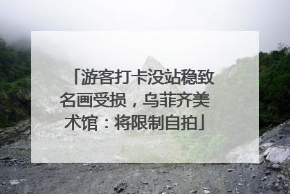 游客打卡没站稳致名画受损，乌菲齐美术馆：将限制自拍