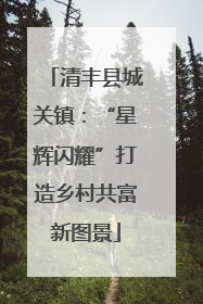 清丰县城关镇：“星辉闪耀”打造乡村共富新图景