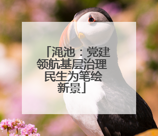 渑池：党建领航基层治理 民生为笔绘新景