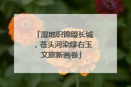 湿地织锦缀长城，苍头河染绿右玉文旅新画卷