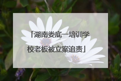 湖南娄底一培训学校老板被立案追责