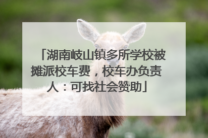 湖南岐山镇多所学校被摊派校车费，校车办负责人：可找社会赞助