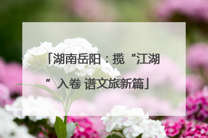 湖南岳阳：揽“江湖”入卷 谱文旅新篇