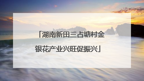 湖南新田三占塘村金银花产业兴旺促振兴