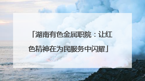 湖南有色金属职院：让红色精神在为民服务中闪耀