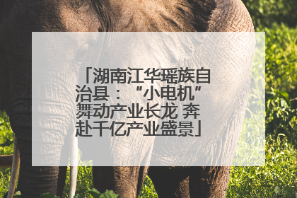 湖南江华瑶族自治县：“小电机”舞动产业长龙 奔赴千亿产业盛景