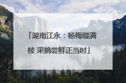 湖南江永：杨梅缀满枝 采摘尝鲜正当时