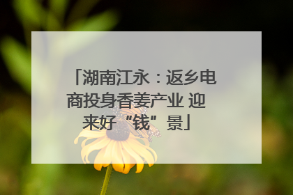 湖南江永：返乡电商投身香姜产业 迎来好“钱”景