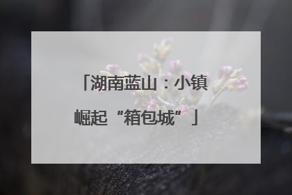 湖南蓝山：小镇崛起“箱包城”