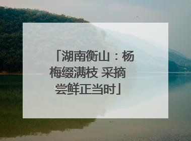 湖南衡山：杨梅缀满枝 采摘尝鲜正当时