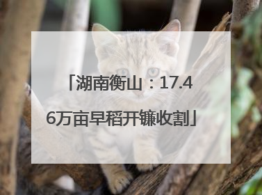 湖南衡山：17.46万亩早稻开镰收割