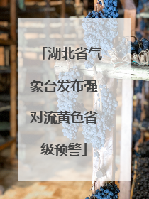 湖北省气象台发布强对流黄色省级预警