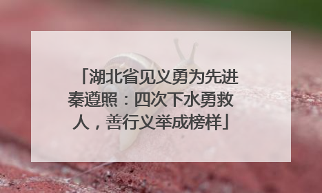 湖北省见义勇为先进秦遵照：四次下水勇救人，善行义举成榜样
