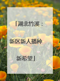 湖北竹溪：新区新人播种新希望
