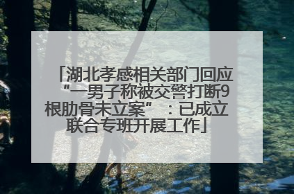 湖北孝感相关部门回应“一男子称被交警打断9根肋骨未立案”：已成立联合专班开展工作
