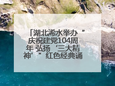 湖北浠水举办“庆祝建党104周年 弘扬‘三大精神’”红色经典诵读活动