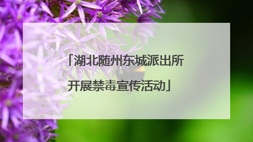 湖北随州东城派出所开展禁毒宣传活动