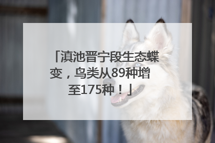滇池晋宁段生态蝶变，鸟类从89种增至175种！
