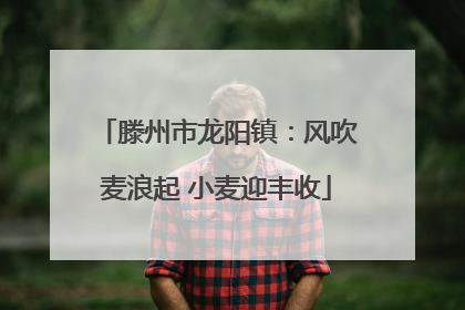 滕州市龙阳镇：风吹麦浪起 小麦迎丰收