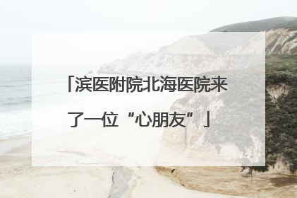滨医附院北海医院来了一位“心朋友”