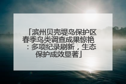 滨州贝壳堤岛保护区春季鸟类调查成果惊艳：多项纪录刷新，生态保护成效显著