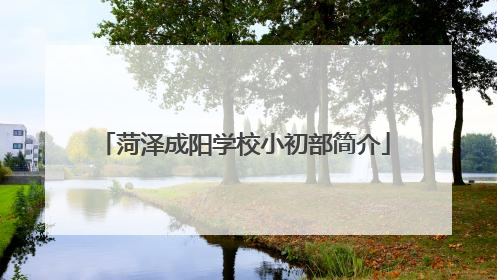 菏泽成阳学校小初部简介