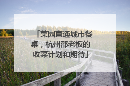 菜园直通城市餐桌，杭州邵老板的收菜计划和期待