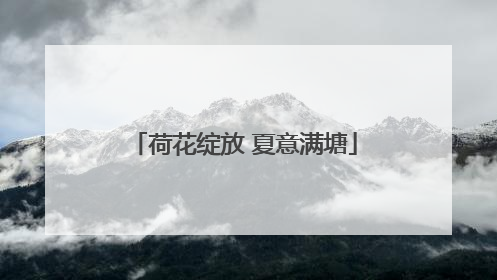 荷花绽放 夏意满塘