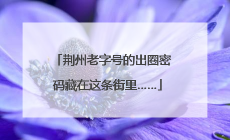 荆州老字号的出圈密码藏在这条街里……