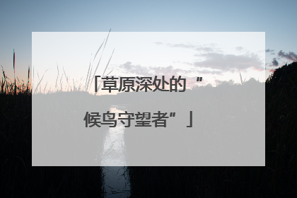 草原深处的“候鸟守望者”