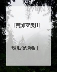 荒滩变良田 甜瓜促增收