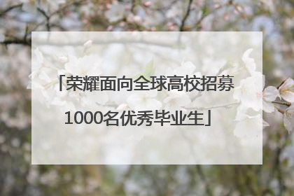 荣耀面向全球高校招募1000名优秀毕业生