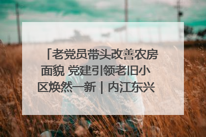 老党员带头改善农房面貌 党建引领老旧小区焕然一新｜内江东兴“红”在哪？④