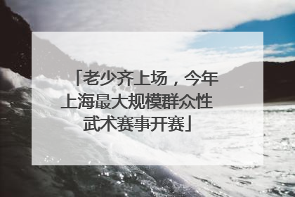 老少齐上场，今年上海最大规模群众性武术赛事开赛