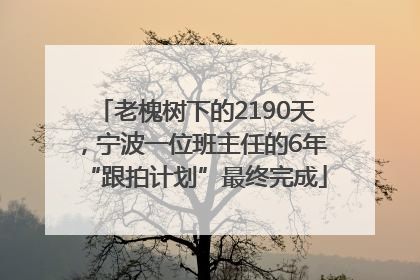 老槐树下的2190天，宁波一位班主任的6年“跟拍计划”最终完成