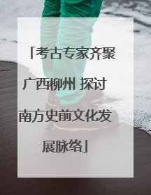 考古专家齐聚广西柳州 探讨南方史前文化发展脉络