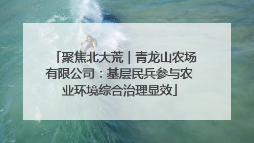 聚焦北大荒｜青龙山农场有限公司：基层民兵参与农业环境综合治理显效