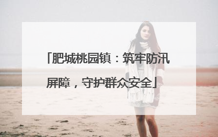 肥城桃园镇：筑牢防汛屏障，守护群众安全