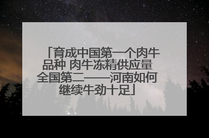 育成中国第一个肉牛品种 肉牛冻精供应量全国第二——河南如何继续牛劲十足