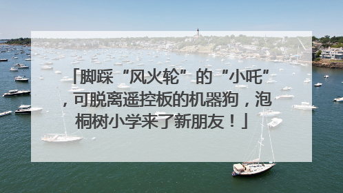 脚踩“风火轮”的“小吒”，可脱离遥控板的机器狗，泡桐树小学来了新朋友！