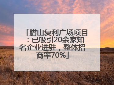 腊山复利广场项目：已吸引20余家知名企业进驻，整体招商率70%