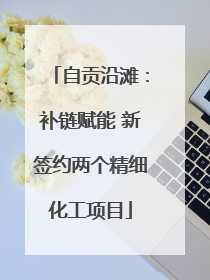 自贡沿滩：补链赋能 新签约两个精细化工项目