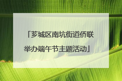 芗城区南坑街道侨联举办端午节主题活动