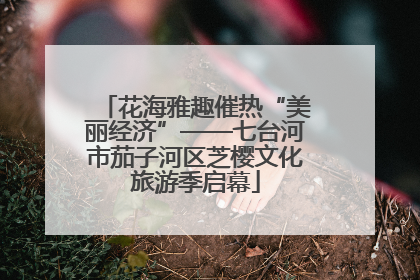 花海雅趣催热“美丽经济”——七台河市茄子河区芝樱文化旅游季启幕