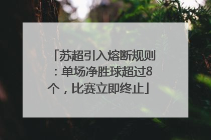 苏超引入熔断规则：单场净胜球超过8个，比赛立即终止