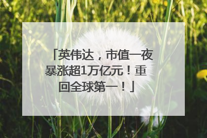 英伟达，市值一夜暴涨超1万亿元！重回全球第一！