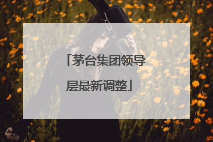 茅台集团领导层最新调整