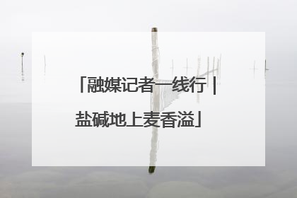 融媒记者一线行｜盐碱地上麦香溢