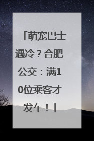 萌宠巴士遇冷？合肥公交：满10位乘客才发车！
