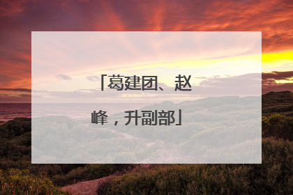 葛建团、赵峰，升副部